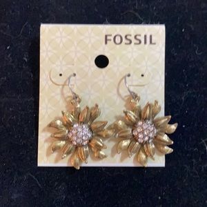 Fossil Earrings